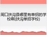 周口扶沟县哪里有单招的学校啊(扶沟单招学校)