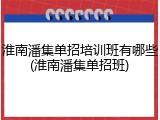 淮南潘集单招培训班有哪些(淮南潘集单招班)