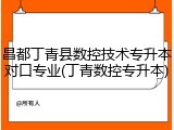 昌都丁青县数控技术专升本对口专业(丁青数控专升本)