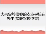 大兴安岭松岭的农业学校在哪里(松岭农校位置)