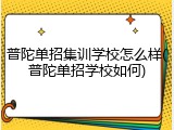 普陀单招集训学校怎么样(普陀单招学校如何)