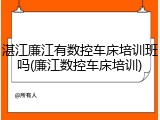 湛江廉江有数控车床培训班吗(廉江数控车床培训)