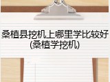 桑植县挖机上哪里学比较好(桑植学挖机)