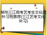 柳州三江高考艺考生文化课补习班推荐(三江艺考文化补习)