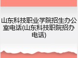 山东科技职业学院招生办公室电话(山东科技职院招办电话)