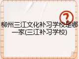 柳州三江文化补习学校是哪一家(三江补习学校)