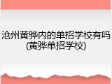 沧州黄骅内的单招学校有吗(黄骅单招学校)