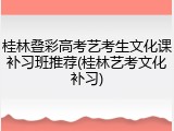 桂林叠彩高考艺考生文化课补习班推荐(桂林艺考文化补习)