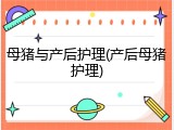 母猪与产后护理(产后母猪护理)