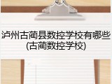 泸州古蔺县数控学校有哪些(古蔺数控学校)
