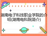 湖南电子科技职业学院的介绍(湖南电科院简介)