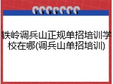 铁岭调兵山正规单招培训学校在哪(调兵山单招培训)