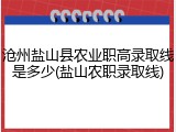 沧州盐山县农业职高录取线是多少(盐山农职录取线)