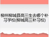 柳州柳城县高三生去哪个补习学校(柳城高三补习校)