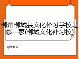 柳州柳城县文化补习学校是哪一家(柳城文化补习校)