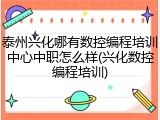 泰州兴化哪有数控编程培训中心中职怎么样(兴化数控编程培训)