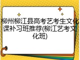 柳州柳江县高考艺考生文化课补习班推荐(柳江艺考文化班)