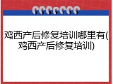鸡西产后修复培训哪里有(鸡西产后修复培训)