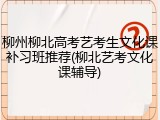 柳州柳北高考艺考生文化课补习班推荐(柳北艺考文化课辅导)