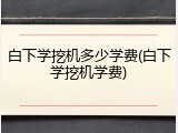 白下学挖机多少学费(白下学挖机学费)