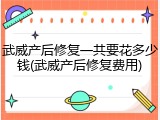 武威产后修复一共要花多少钱(武威产后修复费用)