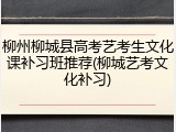柳州柳城县高考艺考生文化课补习班推荐(柳城艺考文化补习)