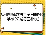 柳州柳城县初三全日制补习学校(柳城初三补校)