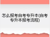 怎么报考自考专升本(自考专升本报考流程)
