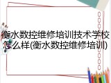 衡水数控维修培训技术学校怎么样(衡水数控维修培训)