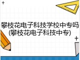 攀枝花电子科技学校中专吗(攀枝花电子科技中专)