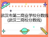 武汉市第二商业学校分数线(武汉二商校分数线)