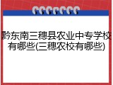 黔东南三穗县农业中专学校有哪些(三穗农校有哪些)