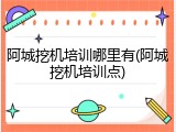 阿城挖机培训哪里有(阿城挖机培训点)