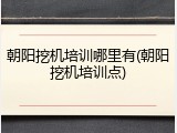 朝阳挖机培训哪里有(朝阳挖机培训点)