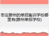 枣庄滕州的单招集训学校哪里有(滕州单招学校)