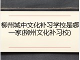 柳州城中文化补习学校是哪一家(柳州文化补习校)