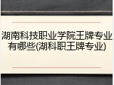湖南科技职业学院王牌专业有哪些(湖科职王牌专业)