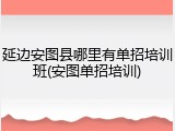 延边安图县哪里有单招培训班(安图单招培训)