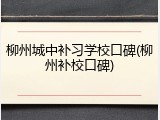 柳州城中补习学校口碑(柳州补校口碑)