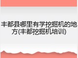 丰都县哪里有学挖掘机的地方(丰都挖掘机培训)