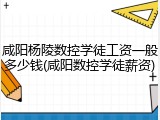 咸阳杨陵数控学徒工资一般多少钱(咸阳数控学徒薪资)