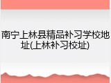 南宁上林县精品补习学校地址(上林补习校址)