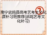 南宁武鸣县高考艺考生文化课补习班推荐(武鸣艺考文化补习)