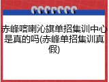 赤峰喀喇沁旗单招集训中心是真的吗(赤峰单招集训真假)