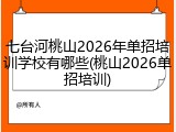 七台河桃山2026年单招培训学校有哪些(桃山2026单招培训)