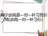 南宁武鸣县一对一补习班价格(武鸣一对一补习价)