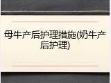 母牛产后护理措施(奶牛产后护理)