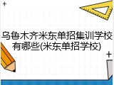 乌鲁木齐米东单招集训学校有哪些(米东单招学校)
