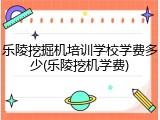 乐陵挖掘机培训学校学费多少(乐陵挖机学费)