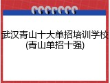 武汉青山十大单招培训学校(青山单招十强)